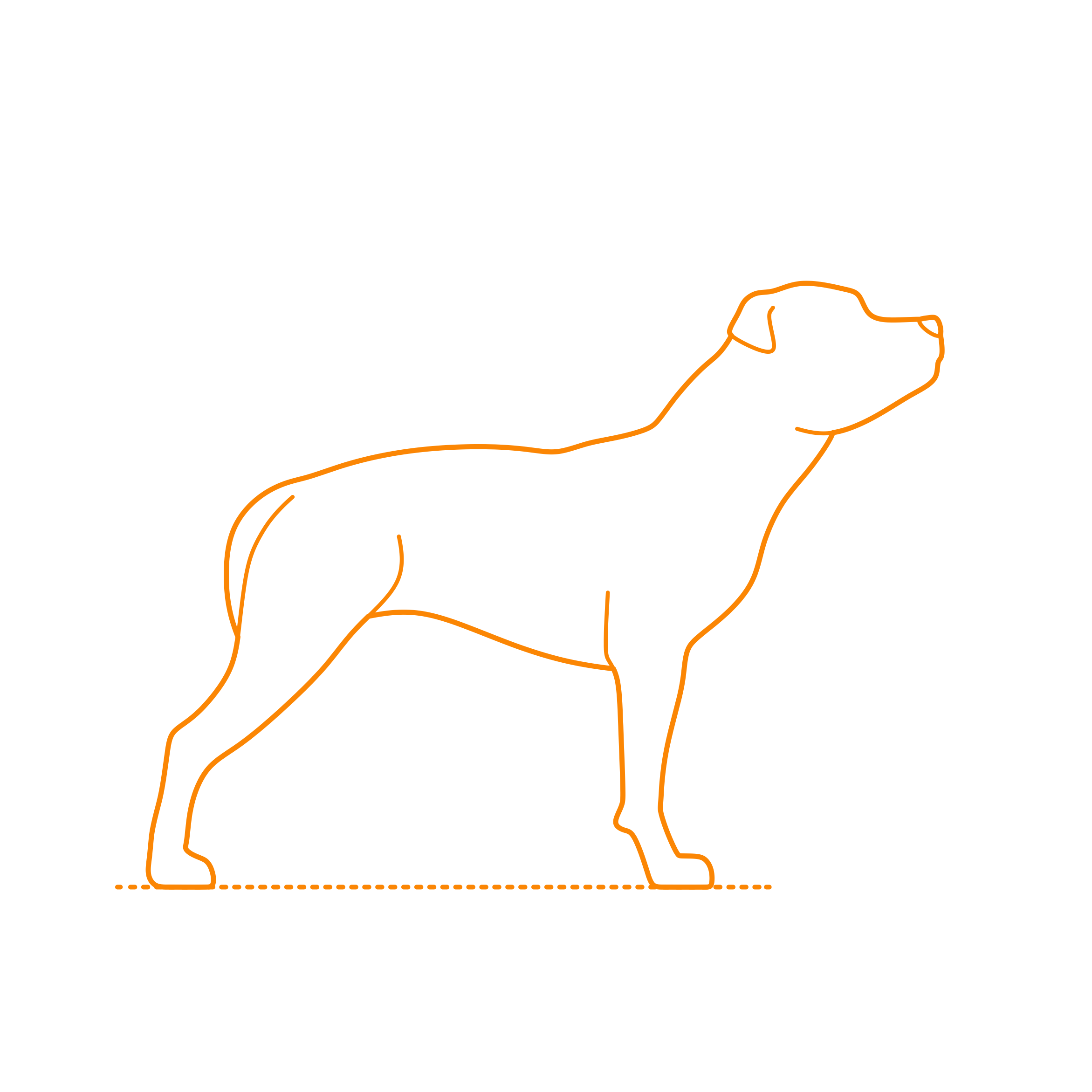 Animals Dogs Staffordshire Bull Terrier Tracing Svg Vector Free Vectors